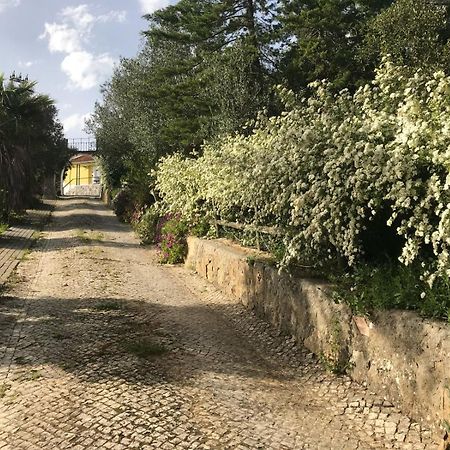 Quinta Dos Canais Setúbal Eksteriør bilde
