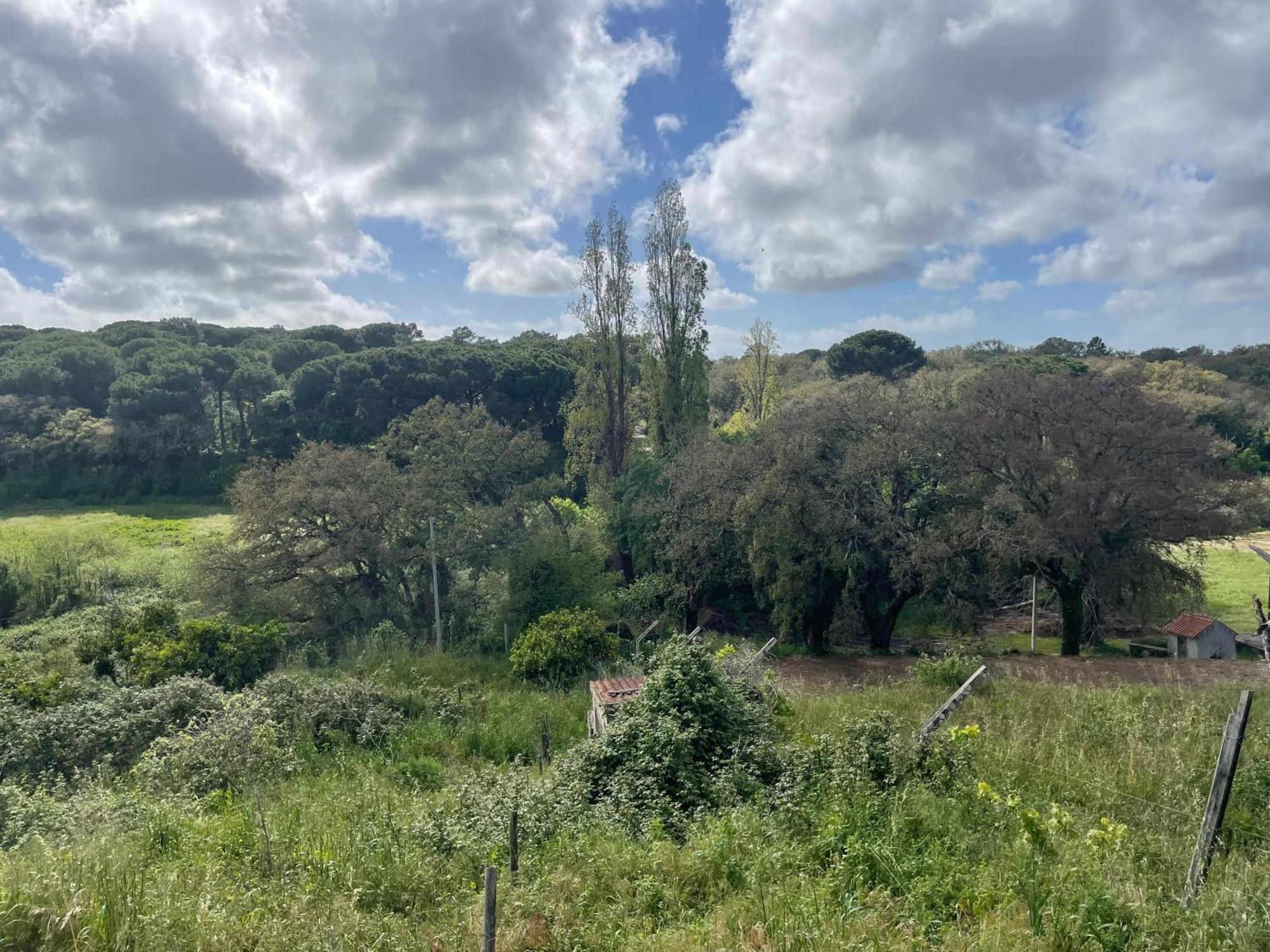 Quinta Dos Canais Setúbal Eksteriør bilde