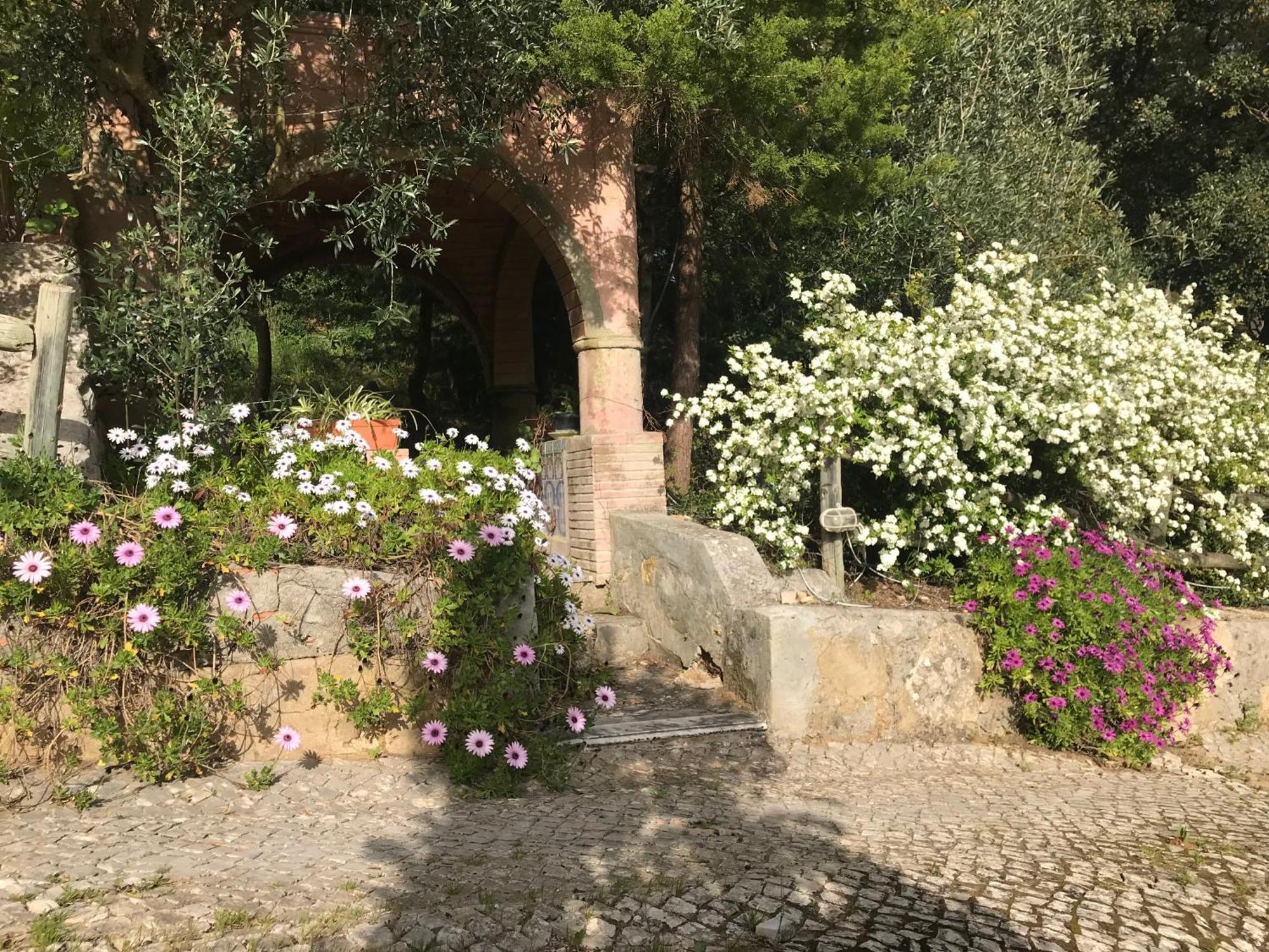 Quinta Dos Canais Setúbal Eksteriør bilde