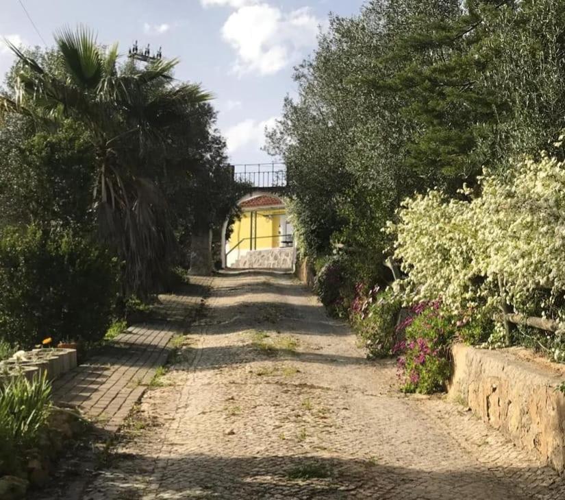 Quinta Dos Canais Setúbal Eksteriør bilde