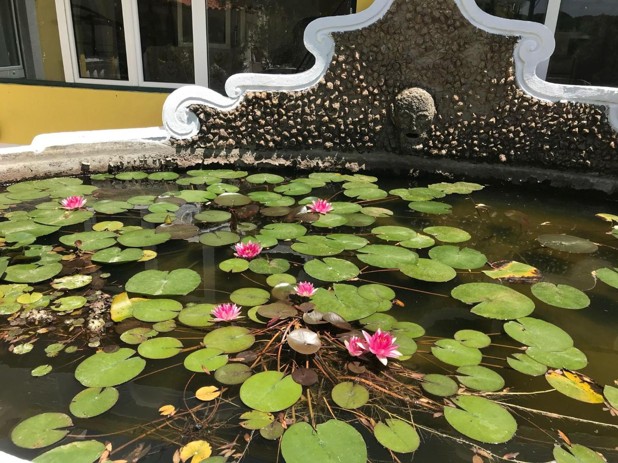Quinta Dos Canais Setúbal Eksteriør bilde