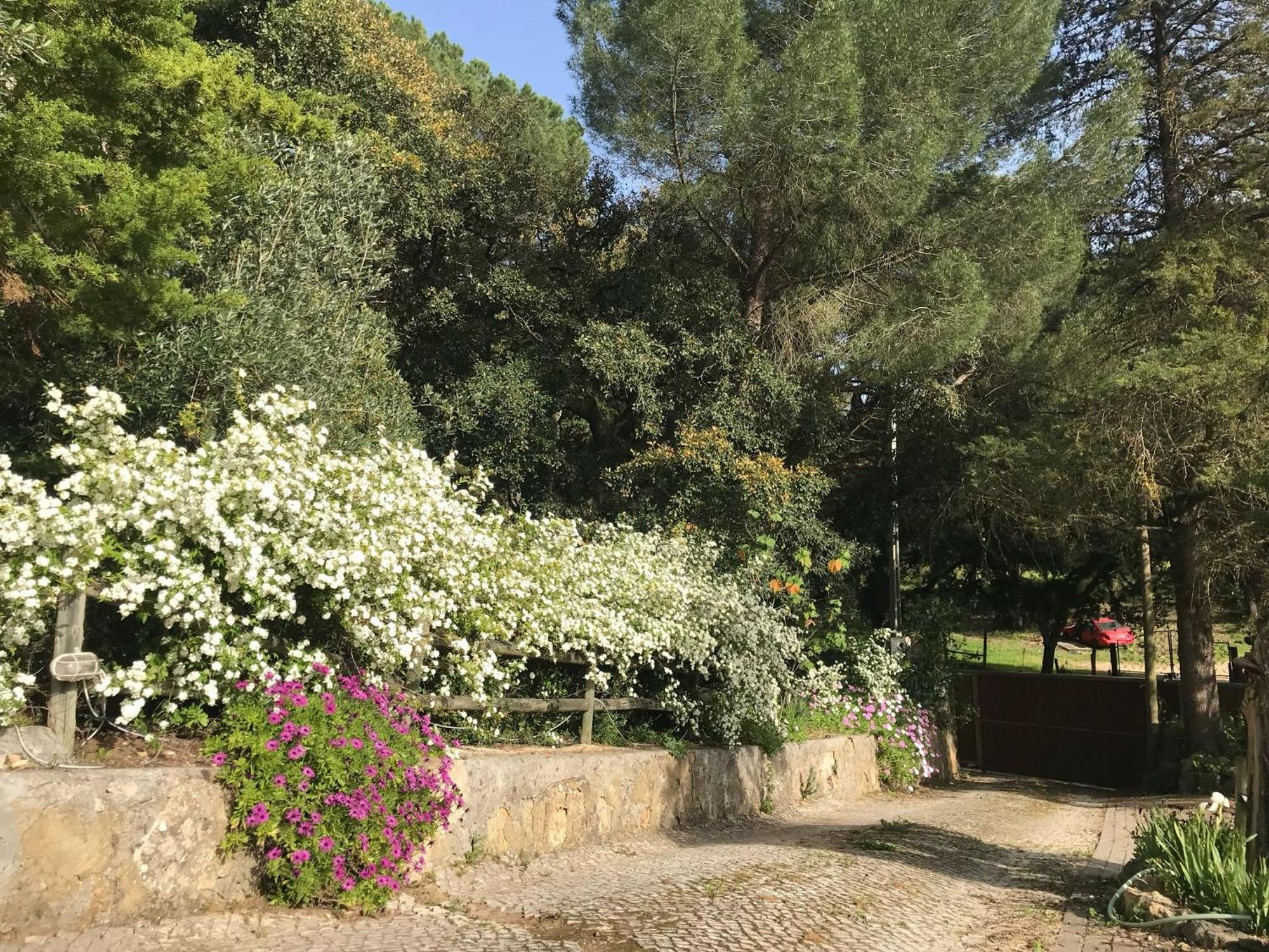 Quinta Dos Canais Setúbal Eksteriør bilde