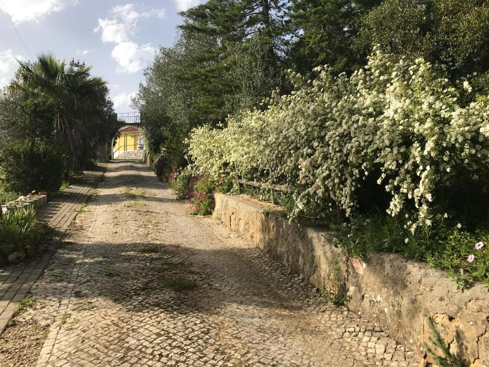 Quinta Dos Canais Setúbal Eksteriør bilde
