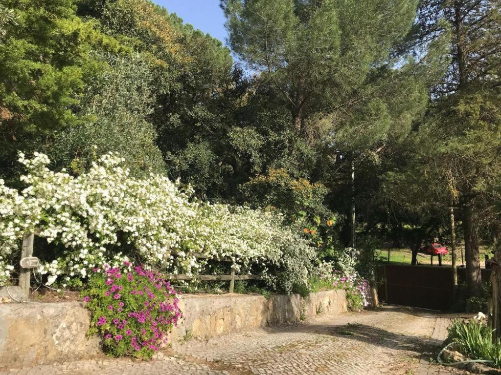 Quinta Dos Canais Setúbal Eksteriør bilde