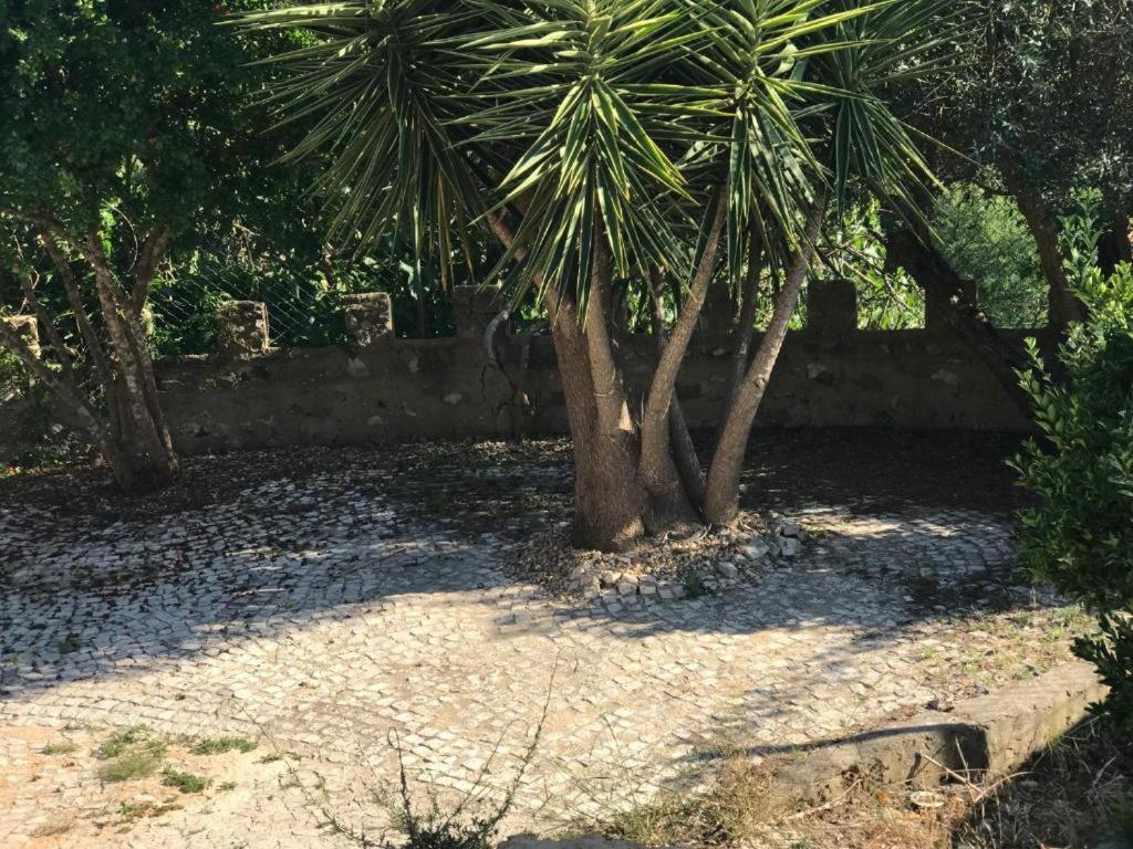 Quinta Dos Canais Setúbal Eksteriør bilde
